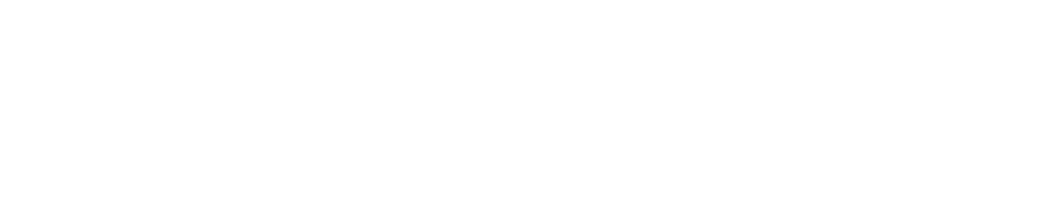 logo light